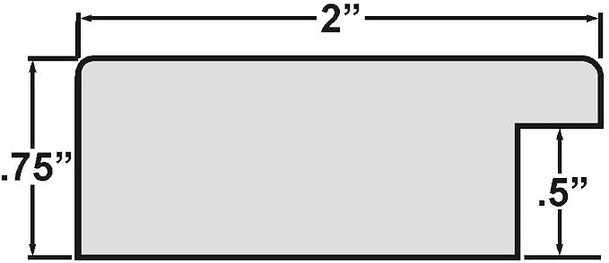 Craig Frames 12x36 Black Poster Frame for Posters, Gallery Wall, and Photos | Lightweight shatter resistant acrylic facing with a rigid backing board, made in the USA