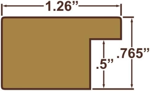 Craig Frames 19x25 White Picture Frame, Wall Decor for Art and Photos | A lightweight, shatter resistant acrylic front, made in the USA for a gallery display