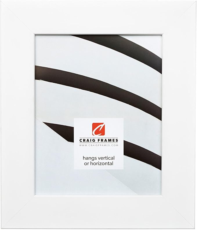 Craig Frames 16x20 White Picture Frame for Posters, Photos, and Prints | Lightweight shatter resistant acrylic facing with a rigid backing board, made in the USA