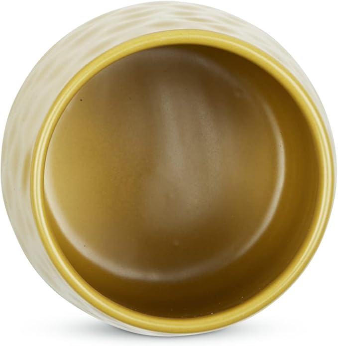 DII Kitchen Accessories Collection, Textured Matte Ceramic Canister Set, Lemongrass, Dimple, 2 Piece