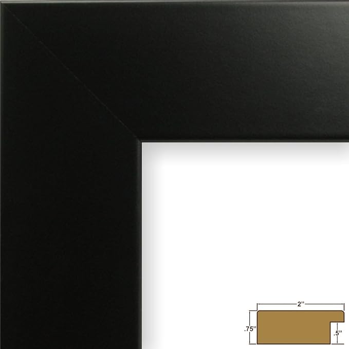 Craig Frames 20x24 Black Picture Frame for Posters, Photos, and Prints | Lightweight shatter resistant acrylic facing with a rigid backing board, made in the USA