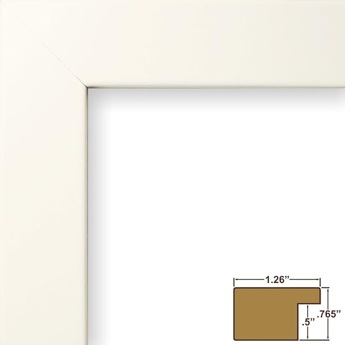 Craig Frames 16x24 White Picture Frame, Wall Decor for Art and Photos | A lightweight, shatter resistant acrylic front, made in the USA for a gallery display