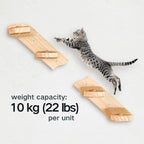 Wall Mounted Cat Shelf, 2 Pack 2 Step Wooden Stairway with Jute Rope, Space-Saving Modular Climbing Ladder for Indoor Cats, for Climbing, Resting, Scratching