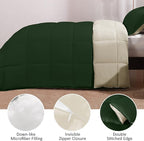Basic Beyond Twin Comforter Set for Girls and Boys - Fluffy Twin Bed Comforter Set for All Seasons - Reversible Forest Green Comforter Set - 2 Pieces (1 Comforter + 1 Pillow Sham) - Forest Green/Ivory