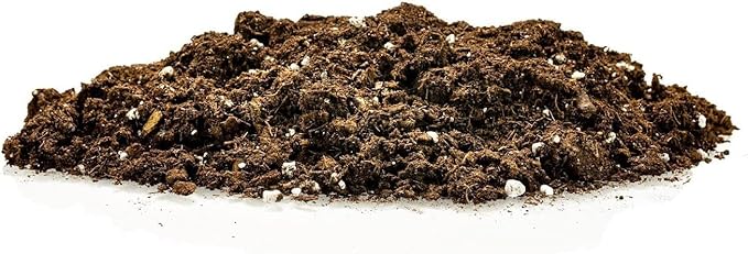 GARDENERA Citrus Tree Potting Soil Mix, Special Blend for Indoor Oranges, Lemons, Limes and More - (5 Quart Bag)