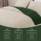 Basic Beyond Queen Comforter Set - Fluffy Comforter Queen Set for All Seasons - Reversible Forest Green Queen Comforter Set for Mens - 3 Pieces (1 Comforter + 2 Pillow Shams) - Forest Green/Ivory