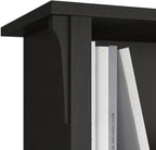 Bush Furniture Salinas Cube Shelf and Bookcase | Display 6 Shelves | Modern Storage Cabinet with Open Bookshelf for Library, Office, Living Room, Bedroom and More, 48W x 14D x 30H, Vintage Black