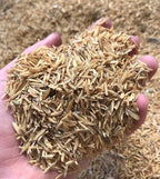 Premium Rice Hulls by Gardenera - Create Healthy and Resilient Plants Through Enhanced Aeration and Drainage - 20 QUARTS