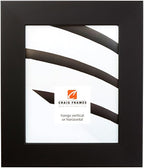 Craig Frames 20x24 Black Picture Frame for Posters, Photos, and Prints | Lightweight shatter resistant acrylic facing with a rigid backing board, made in the USA