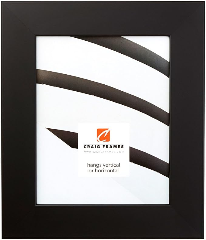 Craig Frames 10x12 Black Picture Frame for Posters and Gallery Wall | Displays photos and prints behind clear glass, ready to hang, made in the USA