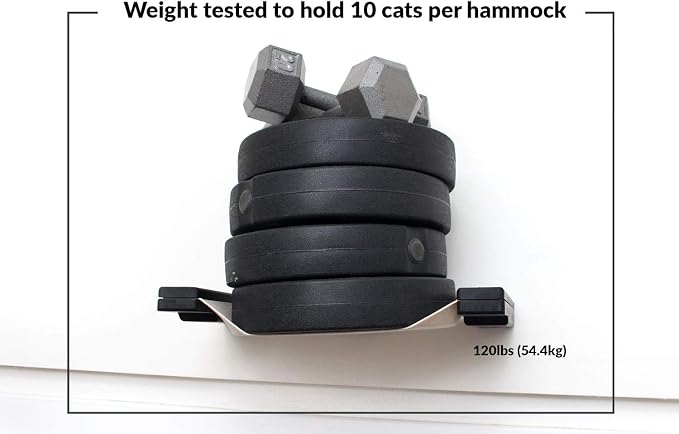 CatastrophiCreations Mini Garden - Multiple-Level Cat Hammock & Climbing Activity Center Wall-Mounted Cat Tree Shelves English Chestnut/Charcoal