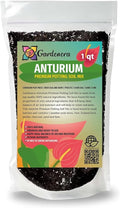 Gardenera Premium Anthurium Soil Mix - Perfect Blend for Thriving Anthurium Plants - 1 Quart