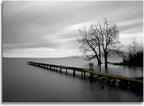 DZL Art S74981 Canvas Prints Modern Minimalist Black and White Lake Trees Landscape Wall Art Painting for Living Room Bedroom Decor Office Wall Decor Home Decoration