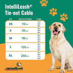 IntelliLeash 40ft Tie-Out Cables for Dogs - Strong, Safe, and Durable Dog Tie-Outs for Small Dogs up to 90 Pounds - Weather and Wear Resistant Galvanized Aircraft Cable for Outside Use