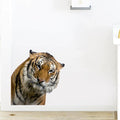 Gentle Tiger Wall Stickers & Decals - Peel & Stick, Removable Funny Tiger Window Stickers for Farmhouse Bedroom, Living Room & Shop Windows