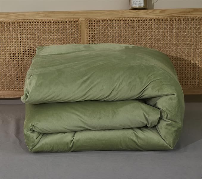 Wellboo Sage Green Velvet Comforter Sets Queen Light Green Fluffy Bedding Solid Color Flannel Quilt Women Men Grass Green Comforters Micromink Sherpa Fuzzy Warm Bed Girls Boys Dorm Plush Bedding Soft