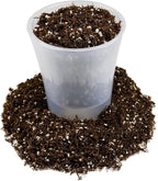 Gardenera Fern + Perlite Soil Mix - 10 Quart - for Repotting and Planting Succulents and Cactuses (4 Bags of 5 Quart)