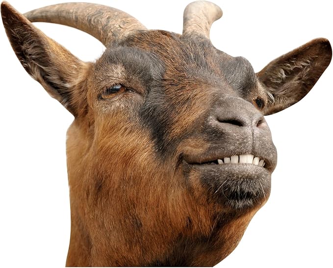 Smiling Goat Window Stickers Decor Funny Wall Stickers Peel and Stick Cute Goat Animals Wall Decals Removable Funny Goat Wall Window Decor for Farmhouse Kitchen Door Closet