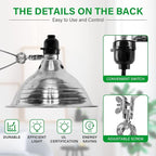 Simple Deluxe Clamp Lamp Light 150 Watt with 8.5 Inch Aluminum Reflector (no Bulb Included), 6 Feet Cord, 4 Pack, Black