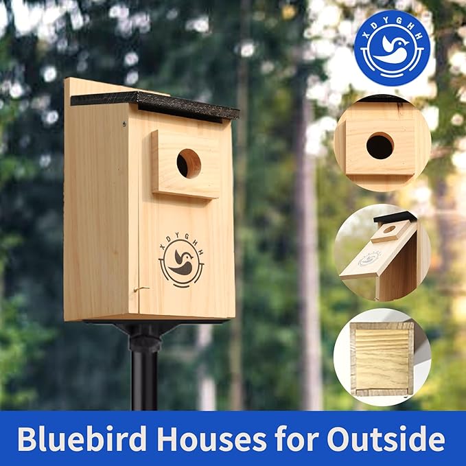 2 Pack Bird Houses for Outside,Bird House kit,Hummingbird House,Blue Bird House Outdoor Wren Swallow Finch