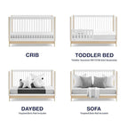 Delta Children babyGap Tate 4-in-1 Convertible Crib + Brannan Bear Bookcase with Bins + Brannan Bear Wall Shelf with 4 Hooks, Bianca White/Natural (Bundle)
