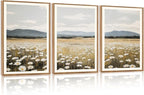 HPNIUB Flowers Wall Art Canvas White Daisy Floral Painting, Rustic Field Landscape Picture, Modern Framed Artwork for Living Room Bedroom Bathroom Dinning Room Office Home Decor Gifts-16 x24 x3