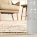nuLOOM 6 Square Machine Washable Rain Haven Vintage Medallion Area Rug, Light Grey, Traditional Faded Design, Non-Slip Backing, Stain Resistant, For Bedroom, Dining Room, Living Room, Kitchen