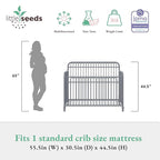 Little Seeds Ivy 3-in-1 Convertible Metal Crib, Dove Gray
