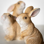 Sullivans Outdoor Garden Bunny Set of 3, 3.75" & 5" Spring Easter Bunnies Decoration Figurines for Gardens, Yard, Small Light Weight Baby Rabbit Garden Statues for Outside Patio, Porch, or Flower Pots