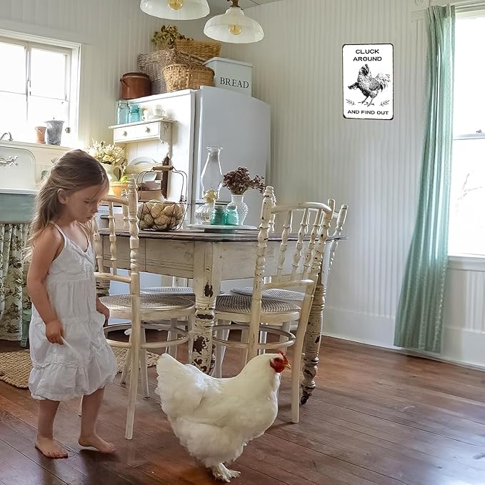 Funny Chicken Gifts Chicken Tin Sign for Home Farm Chicken Coop Farmhouse Kicthen Garden Decor 8 X 12 Inch (3220)