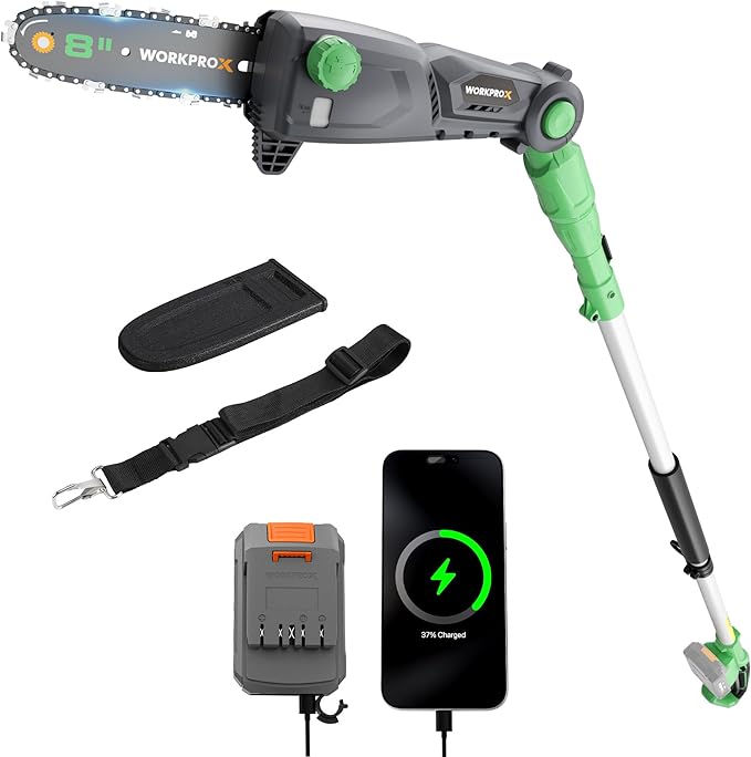 WORKPROX Cordless Pole Saw with Battery, 20V 4.0Ah Battery Powered 8 Inch Electric Pole Chainsaw, 4000mAh Power Bank with Quick Charge 3.0, Lightweight, 9.2 FT Max Reach Pole Saw for Tree Trimming