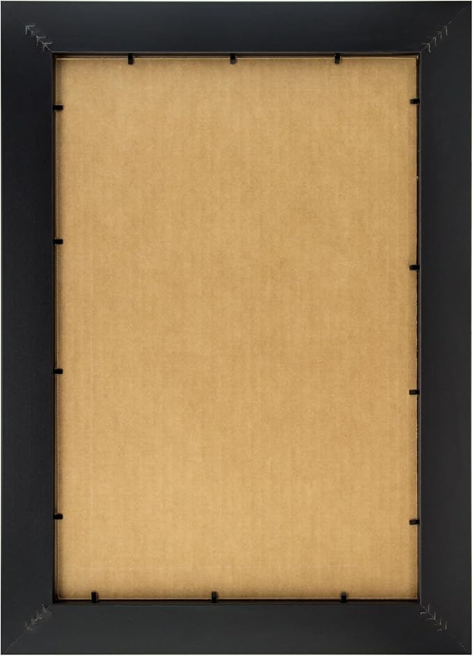 Craig Frames 13x19 Black Picture Frame, Wall Decor for Art and Photos | A lightweight, shatter resistant acrylic front, made in the USA for a gallery display