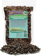 Premium Monstera Borsigiana Potting Soil - Enhanced Drainage and Aeration for Healthy Foliage by Gardenera - 3 Quart