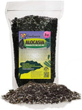 GARDENERA Alocasia Plant Potting Soil - Enhance Leaf Beauty and Health with Professional Grade Nutrient-Rich Mix - 3 Quart