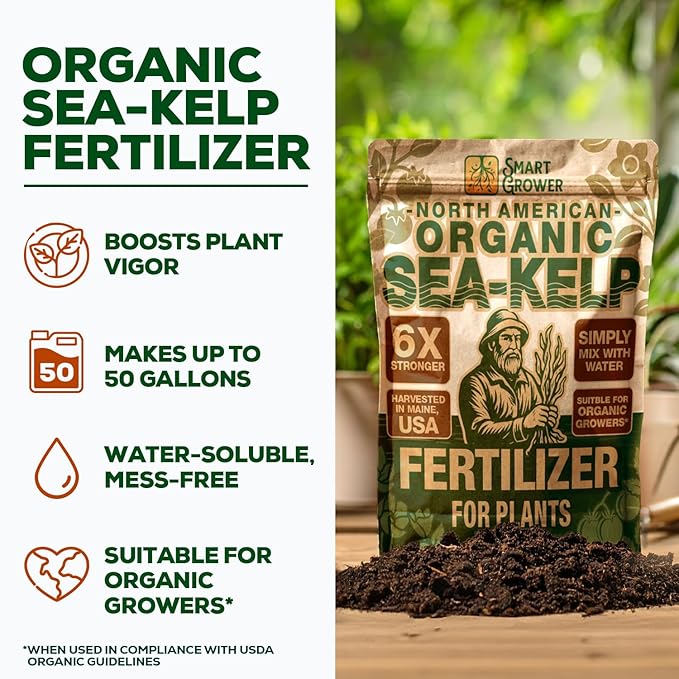 Organic Sea Kelp Fertilizer for Plants – Water-Soluble – Makes 50 Gallons – Kelp Meal Concentrate Plant Food – for Indoor Gardens, Hydroponics, Vegetables, Houseplants - Smart Grower - 2oz Bag