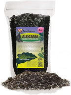 Elevate Your Space with Gardenera's Organic Potting Mix - Tailored for Vibrant Alocasia Plants & Majestic Leaves - 2 QT