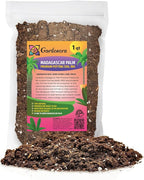 Gardenera Premium Madagascar Palm Potting Mix - Crafted for Thriving Growth and Unique Elegance - 1 Quart