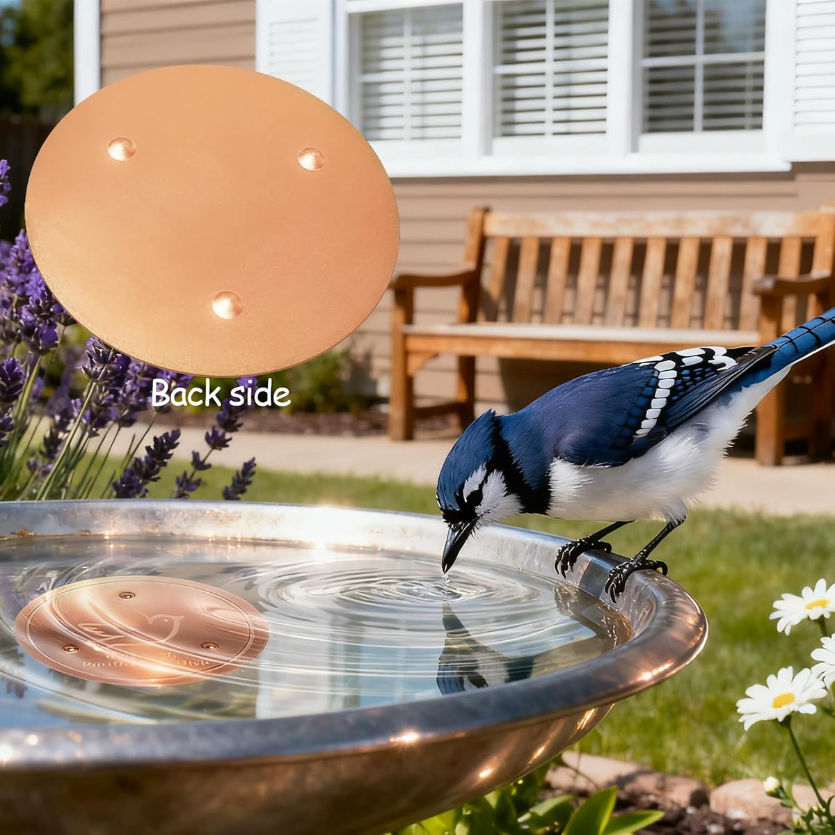 Bird Bath Copper Disk, 99.9% Pure Copper Bird Purification Disk | Bath Cleaning with Triple-Point Support for Physical Safe Clean Water, Fit for Outdoor Birdbath&Bowl (1-Pack)