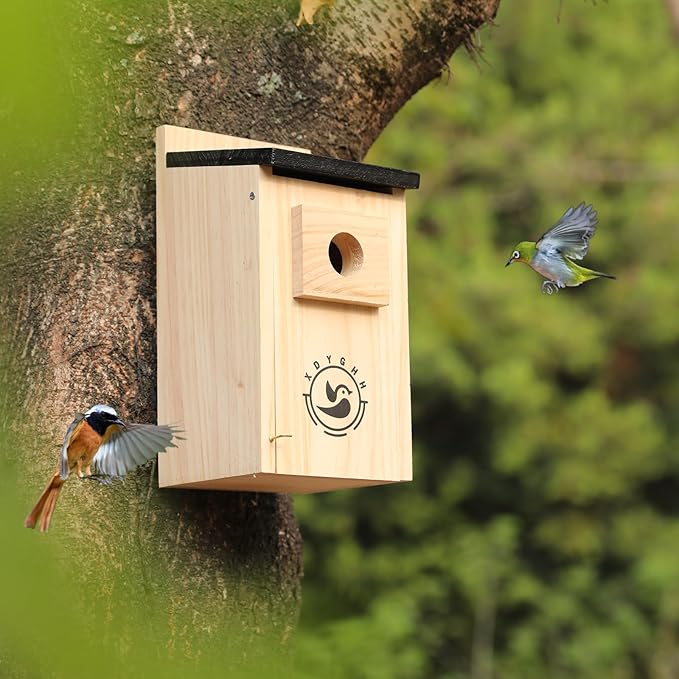 2 Pack Bird Houses for Outside,Bird House kit,Hummingbird House,Blue Bird House Outdoor Wren Swallow Finch