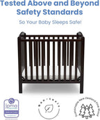 Delta Children Emery Mini Convertible Baby Crib with 2.75-inch Mattress, Dark Chocolate