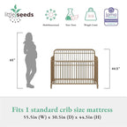 Little Seeds Ivy 3-in-1 Convertible Metal Crib, JMPA Certified, Gold