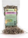 Premium Natural Spanish Moss | Natural Preserved - Great Ground Cover - Filler for Potted Plants - by GARDENERA - 4 Quart Bag