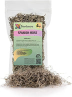 Premium Natural Spanish Moss | Natural Preserved - Great Ground Cover - Filler for Potted Plants - by GARDENERA - 4 Quart Bag