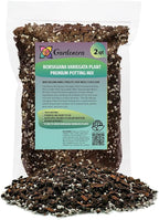 GARDENERA Monstera Borsigiana Soil Mix - Expertly Formulated for Strong Root Development - 2 Quart