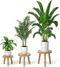 3-Pack Wood Plant Stands Indoor, Single Plant Stand for 6-12 Inch Pots, Mid-Century Modern Plant Stool, Tall Plant Stand for Large Plants for Living Room, Balcony, Office (Light Brown