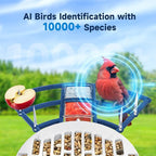 Bird Feeder with Camera Bird Feeders for Outdoors with Solar Panel, AI Identification, Ideal Gift for Lovers Friends and Parents, Navy Blue