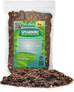 GARDENERA Spearmint Plant Potting Soil - Elevate Your Spearmint Garden with Professional Grade Nutrient-Rich Mix - 3 Quart