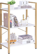 BEWISHOME 3 Tier Bookshelf, Modern Small Book Shelf for Small Spaces, White Gold Wooden Shelves for Bedroom Living Room and Home Office, 13.78" D x 24.12" W x 37.09" H, JCJ42M