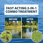 Airmax Knockdown Defense 2-in-1 Liquid Pond Algae Control, Effective & Fast Acting Algaecide, Aquatic Weed Treatment for Clear Water in Ponds & Lakes, Liquid Formulation, 16 oz with Treatment Booster