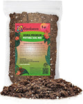 Gardenera Premium Ixora Plant Potting Mix - Crafted for Vibrant Growth and Profusion of Blossoms - 1 Quart
